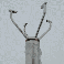 wind sensor application